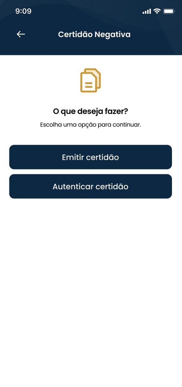 Tela de emissão de certidão do TodoJud